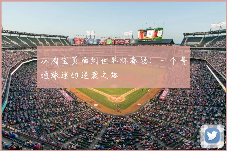 从淘宝页面到世界杯赛场:一个普通球迷的逆袭之路