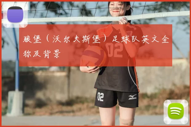 狼堡（沃尔夫斯堡）足球队英文全称及背景