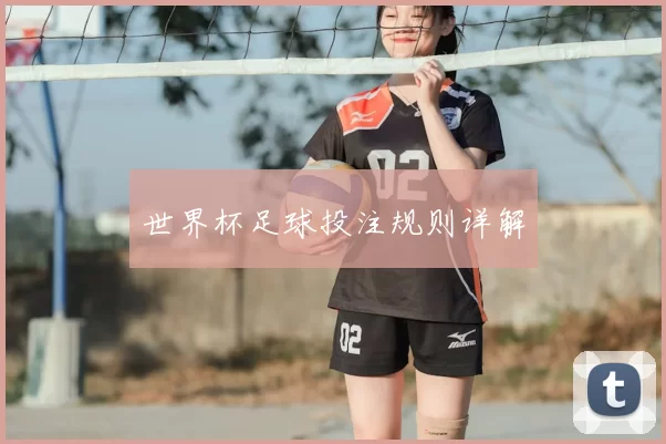 世界杯足球投注规则详解