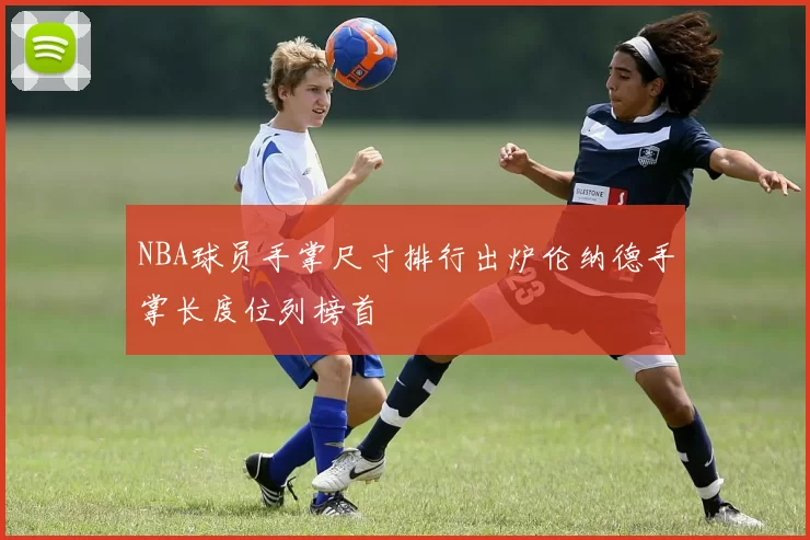 NBA球员手掌尺寸排行出炉伦纳德手掌长度位列榜首