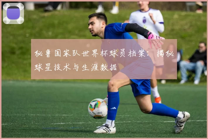 秘鲁国家队世界杯球员档案:揭秘球星技术与生涯数据