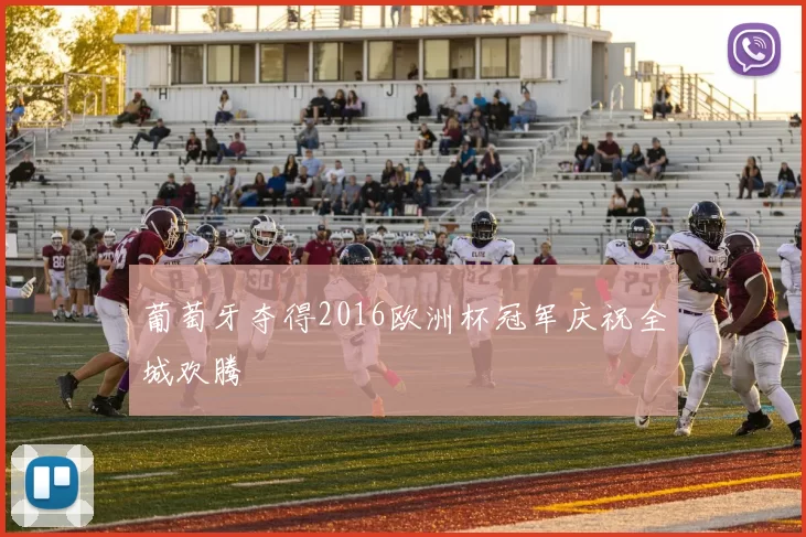 葡萄牙夺得2016欧洲杯冠军庆祝全城欢腾