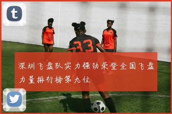 深圳飞盘队实力强劲荣登全国飞盘力量排行榜第九位