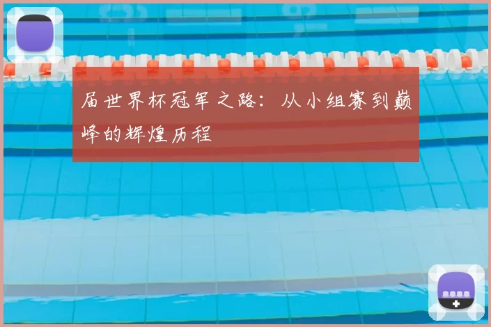 届世界杯冠军之路:从小组赛到巅峰的辉煌历程