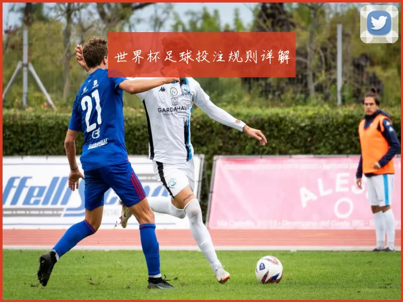 世界杯足球投注规则详解