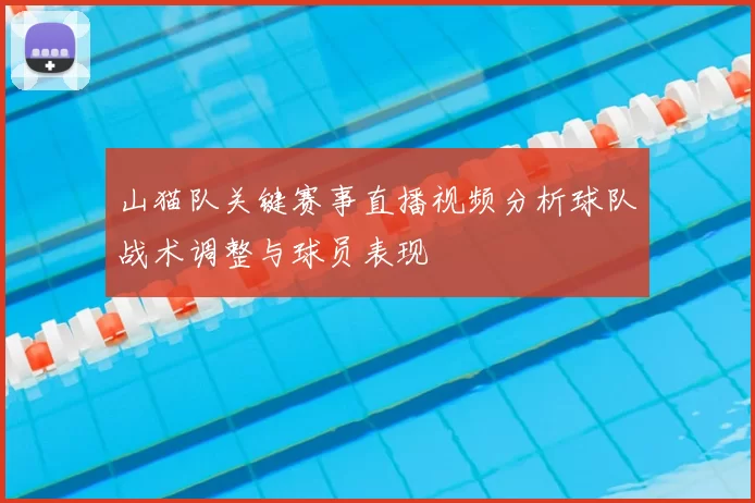 山猫队关键赛事直播视频分析球队战术调整与球员表现