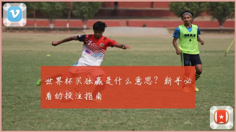 世界杯买独赢是什么意思?新手必看的投注指南