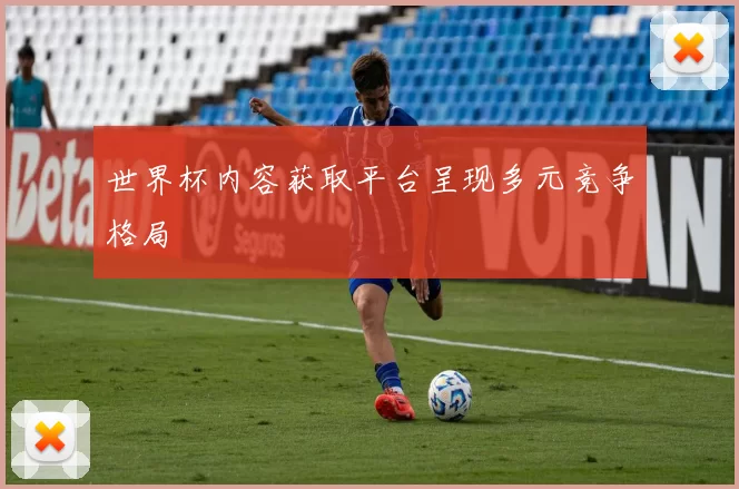 世界杯内容获取平台呈现多元竞争格局