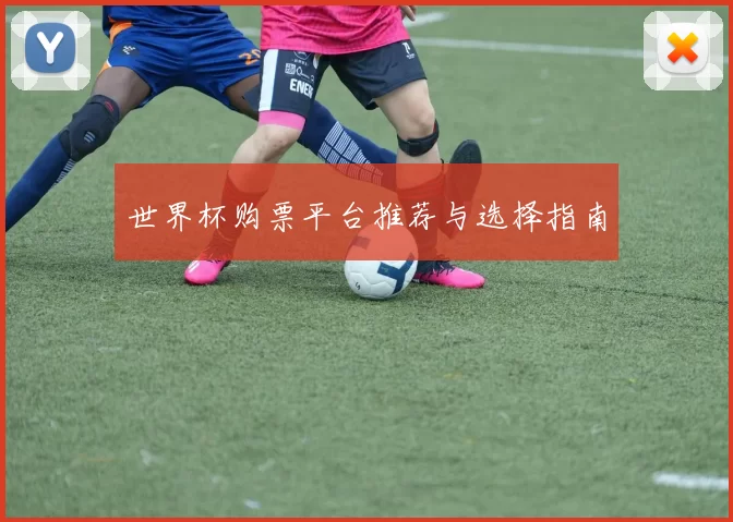 世界杯购票平台推荐与选择指南
