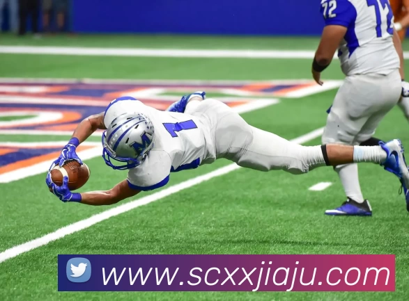 华体官网登录APP 体育赛事宣传图