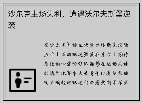 沙尔克主场失利，遭遇沃尔夫斯堡逆袭